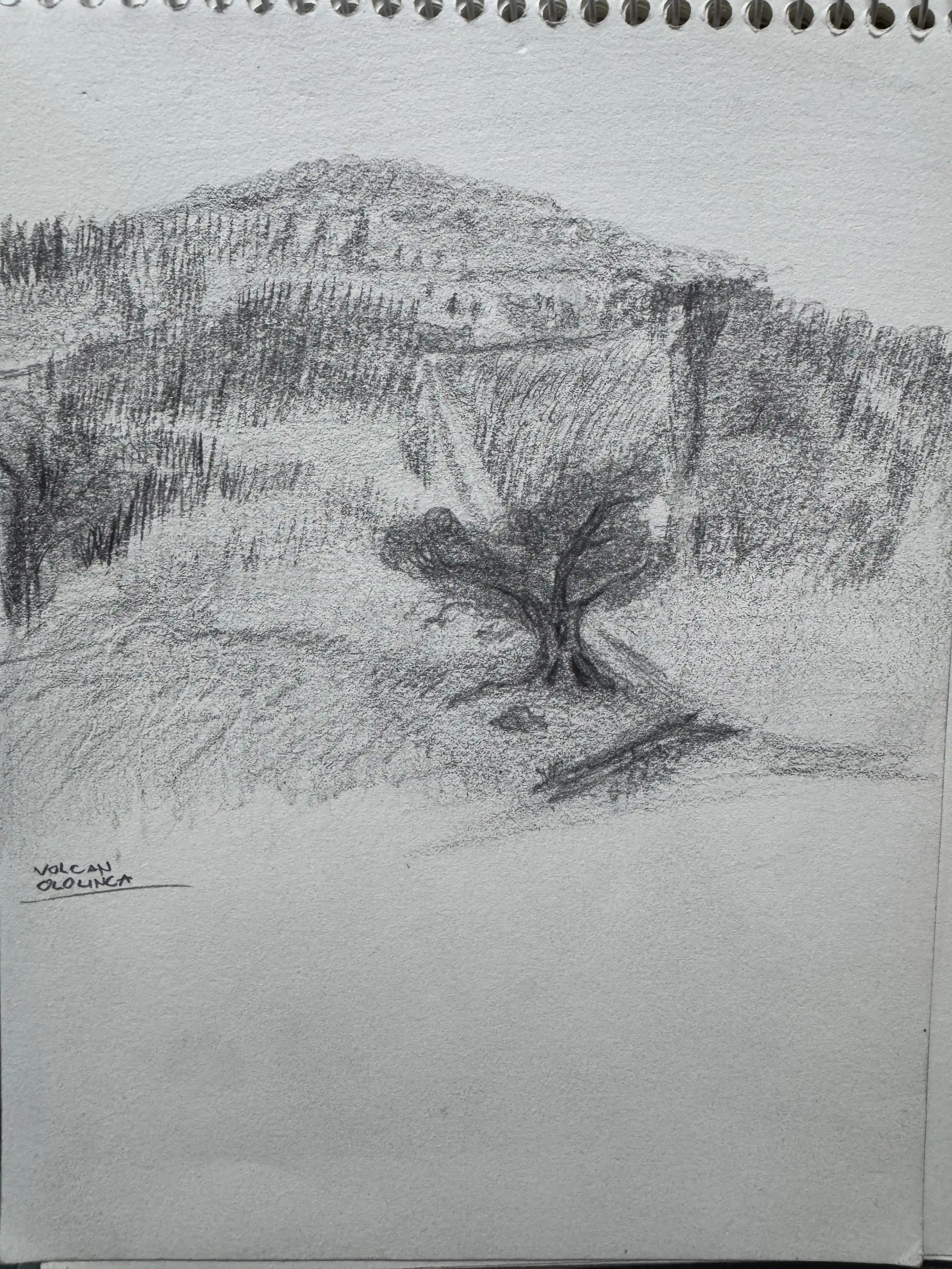 Drawing 1033
