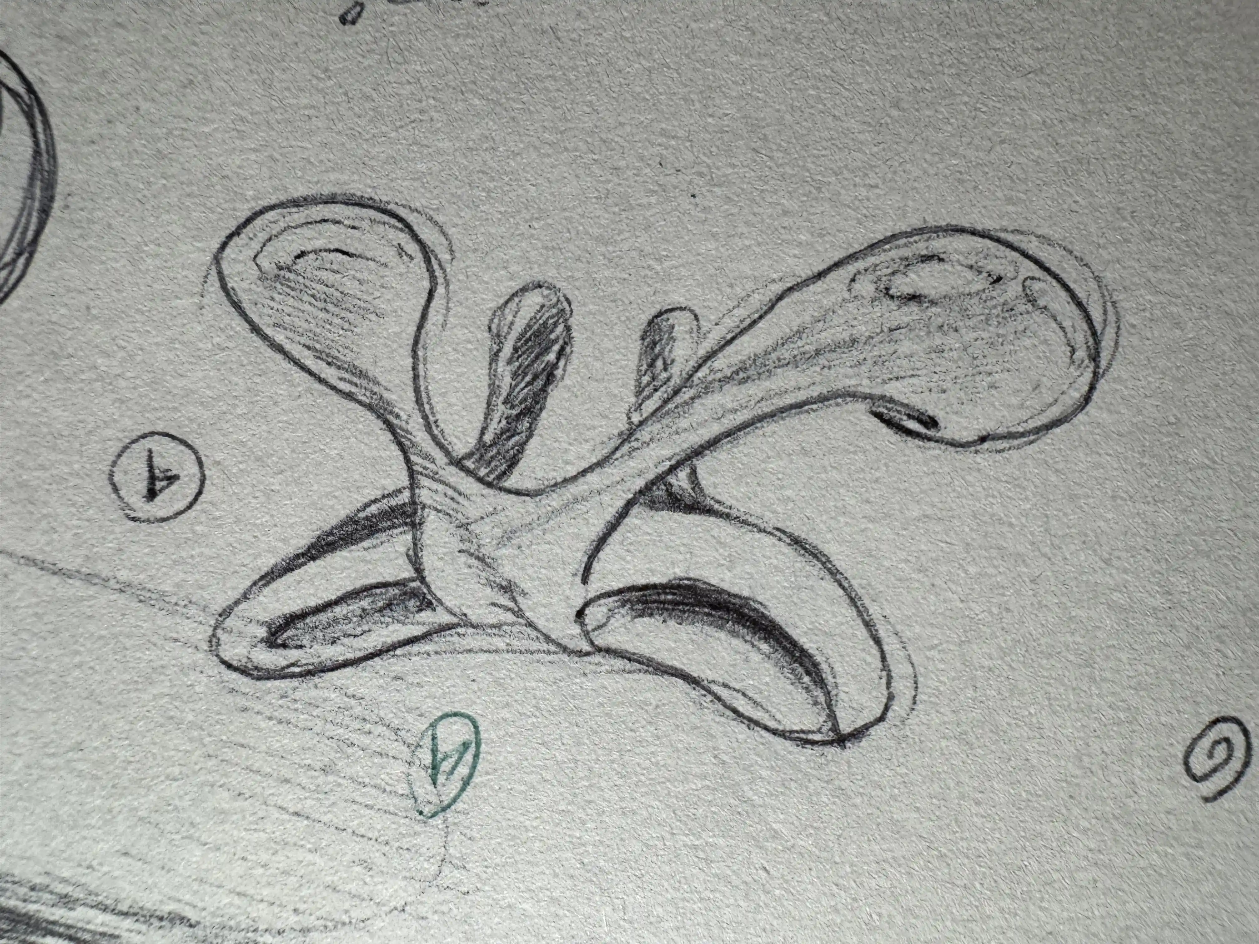 Appendage Study