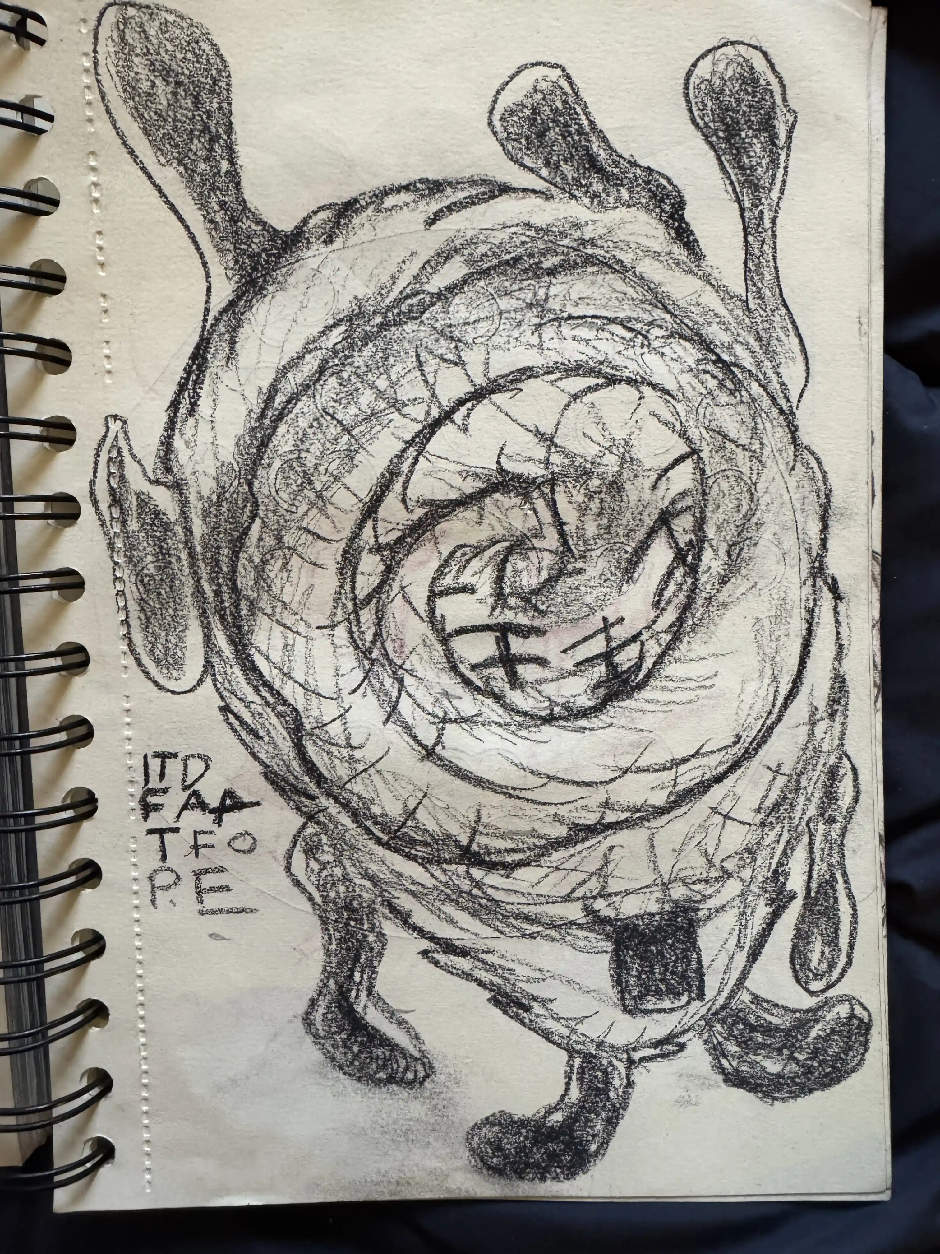 Carapace