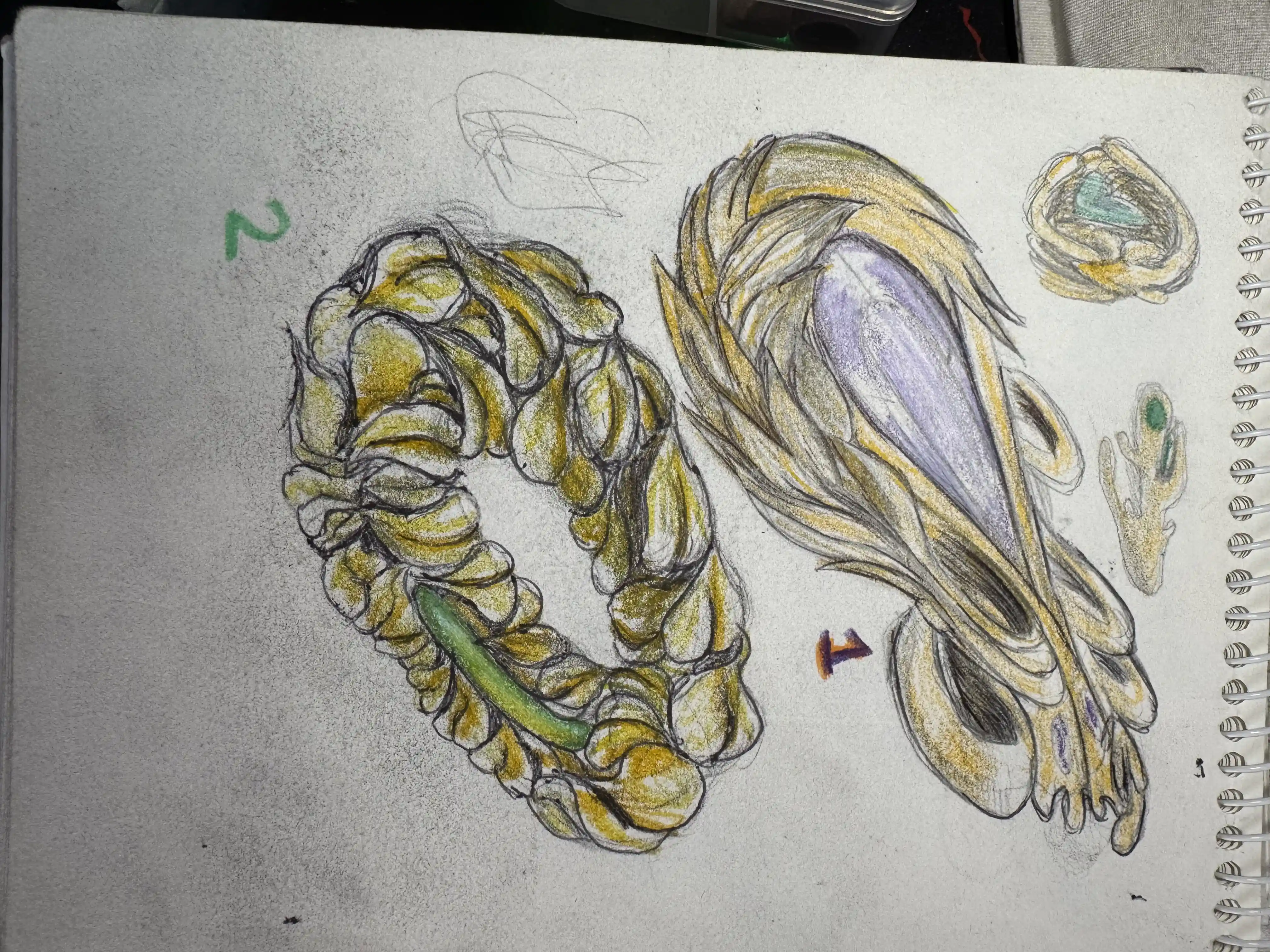 Coil and Chrysalis