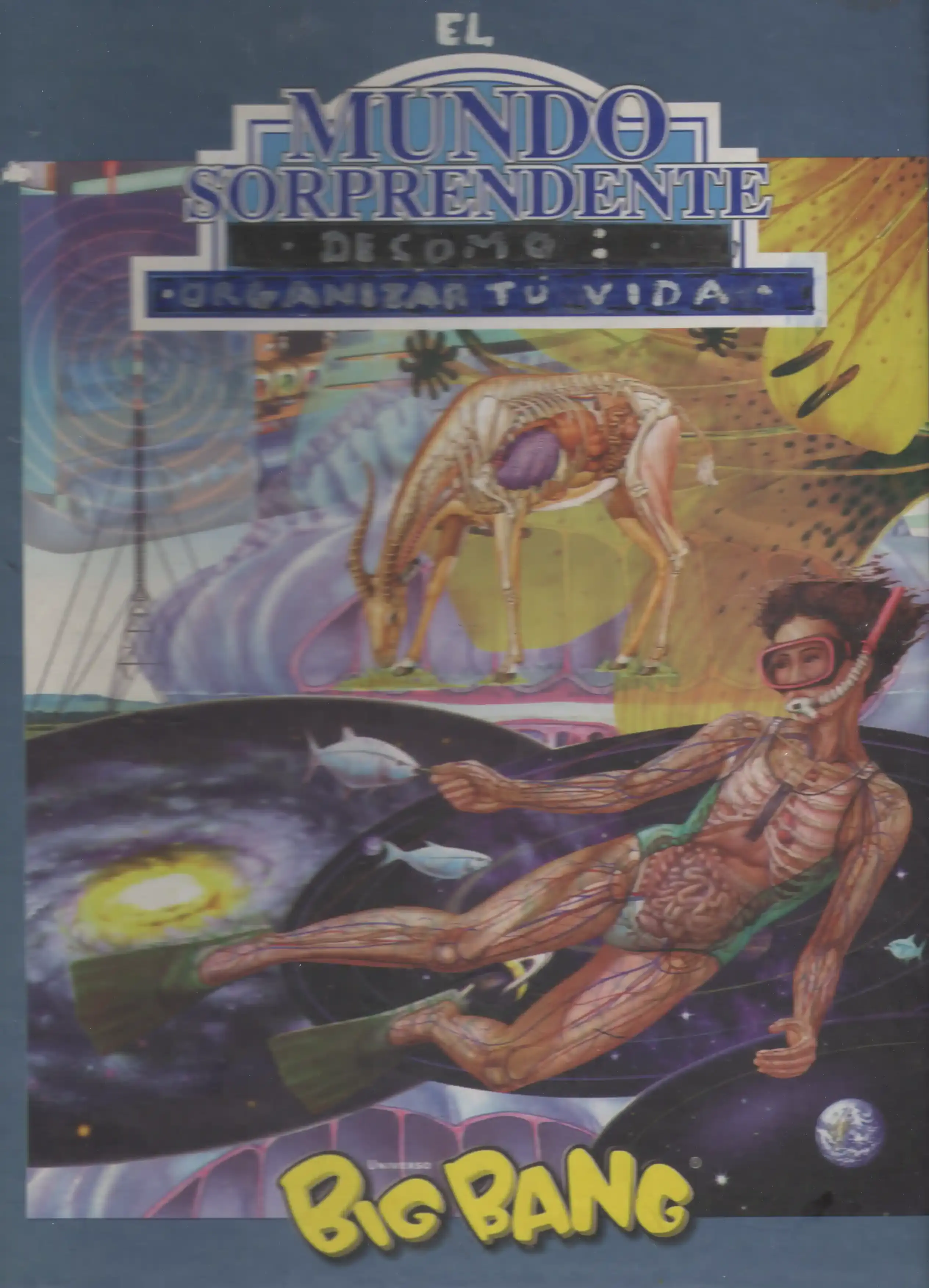 El Sorprendente Mundo — Zine