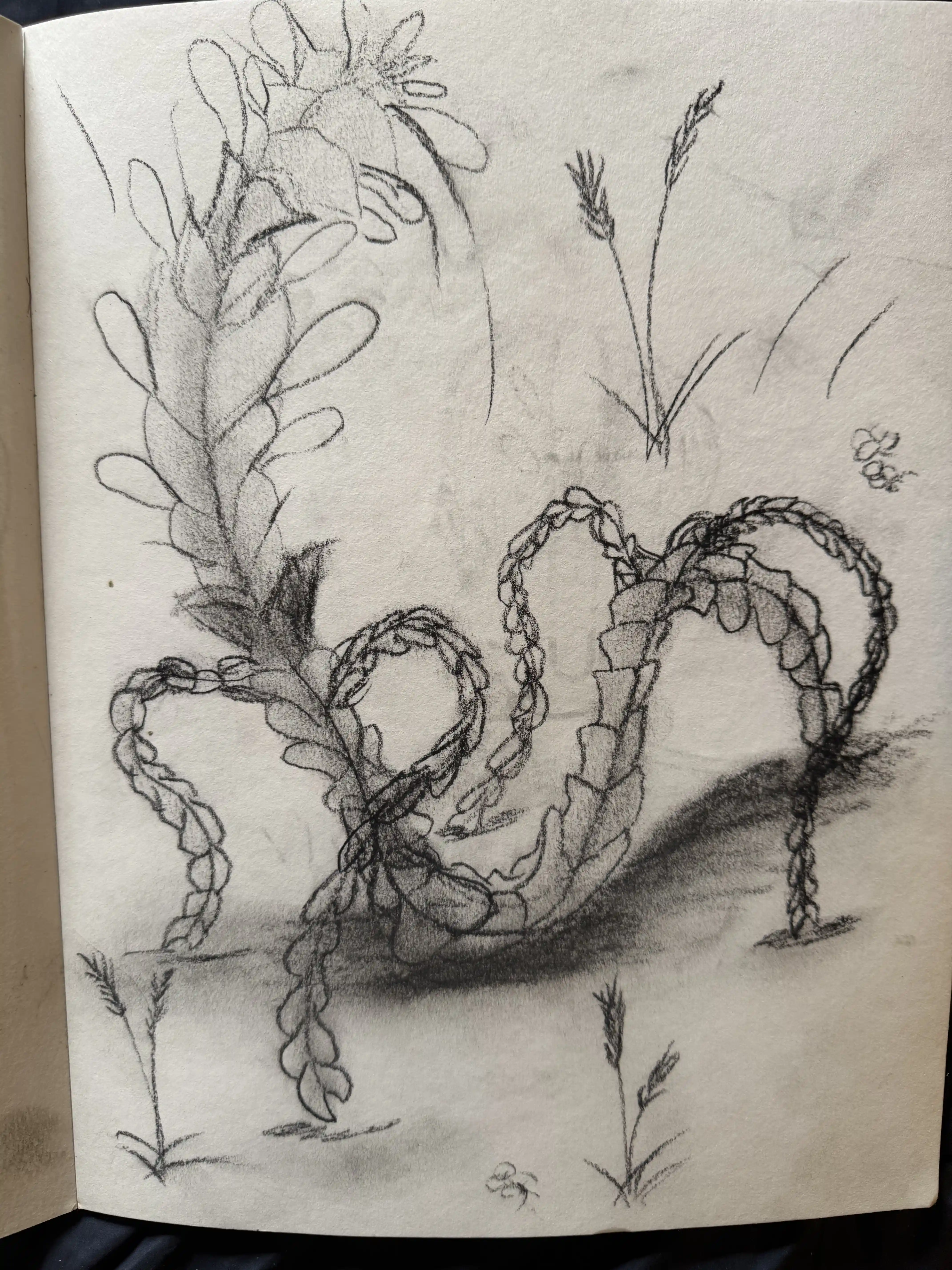 Root Familiar