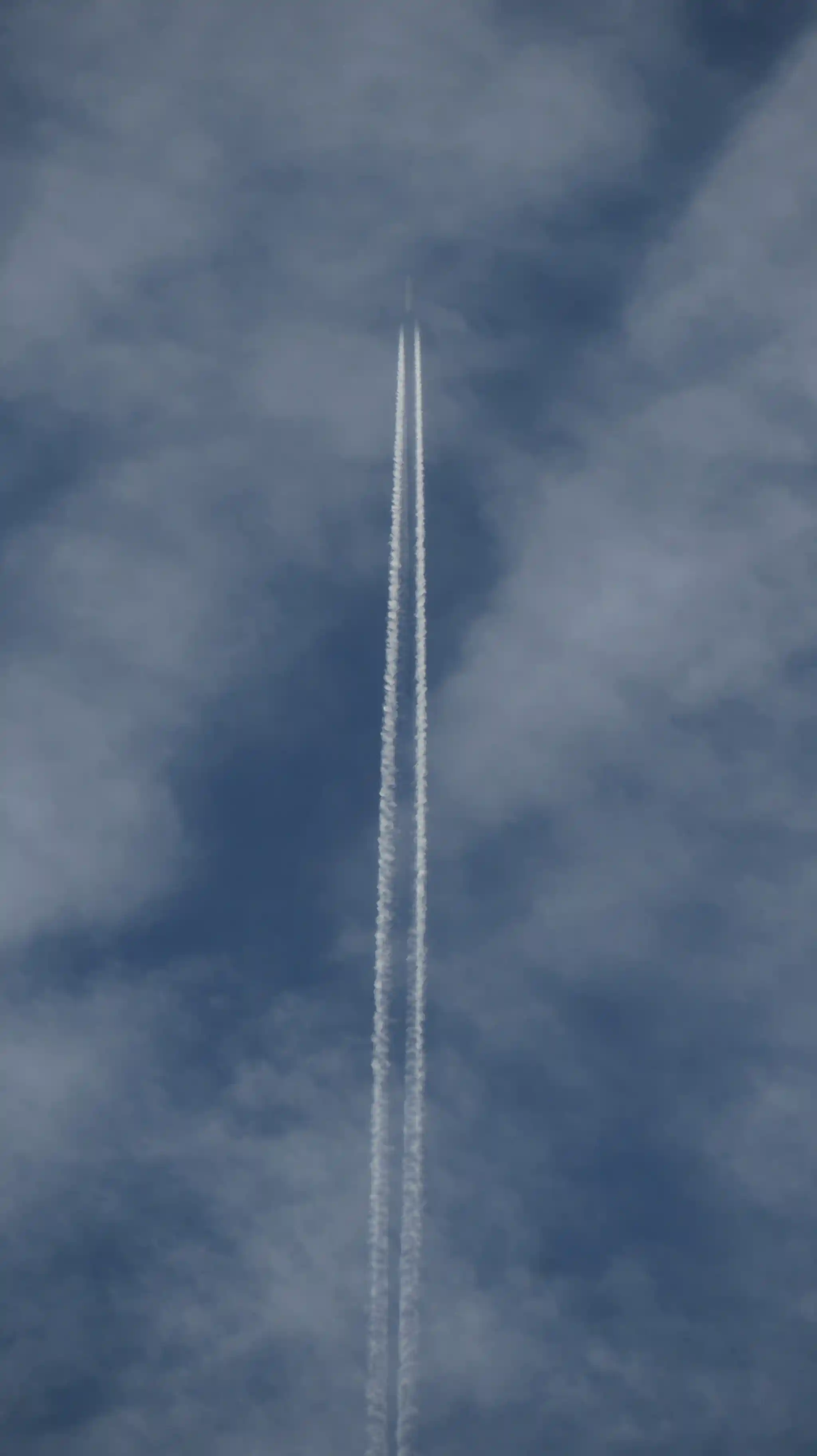 IMG 7188