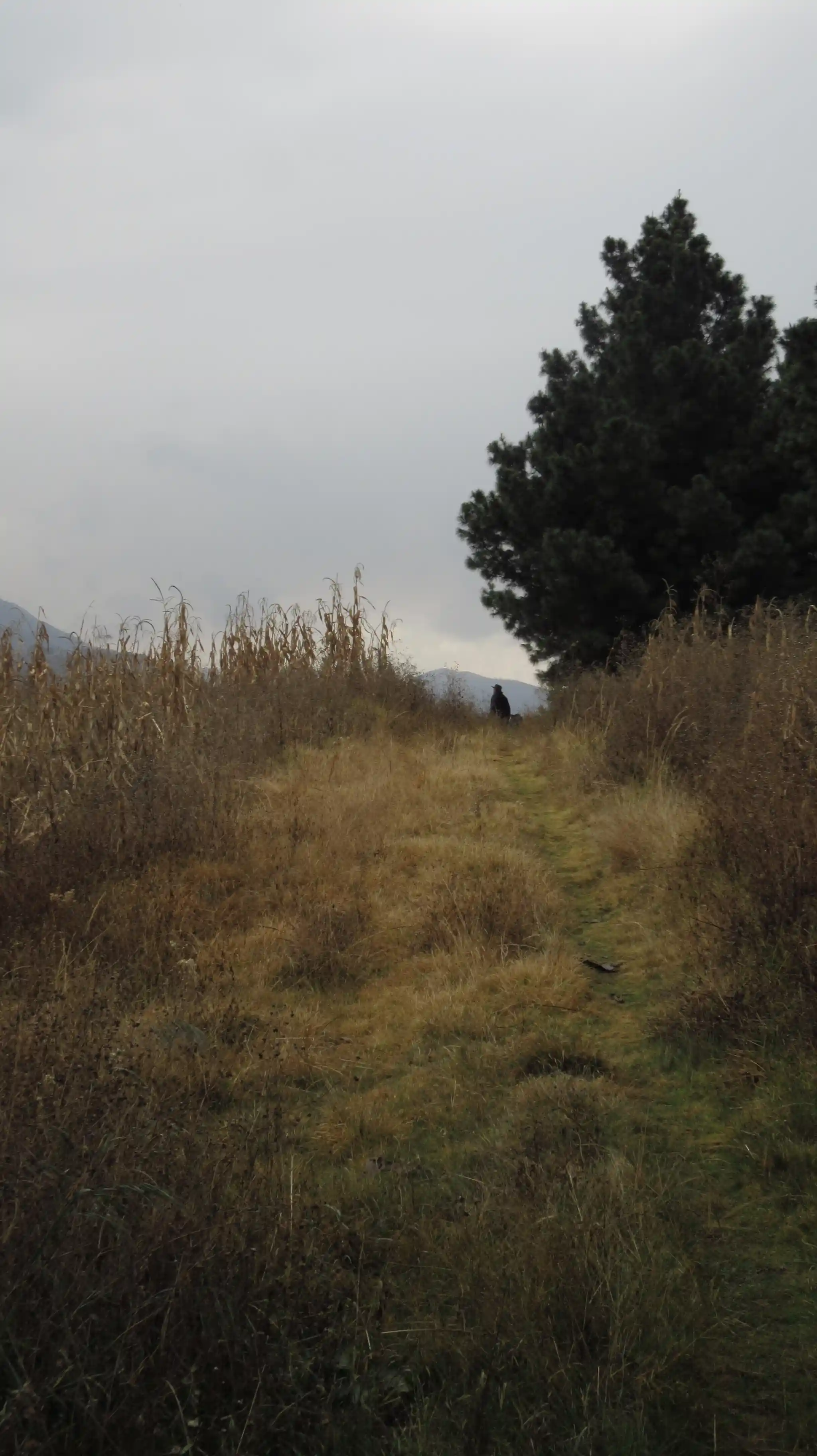 IMG 7551