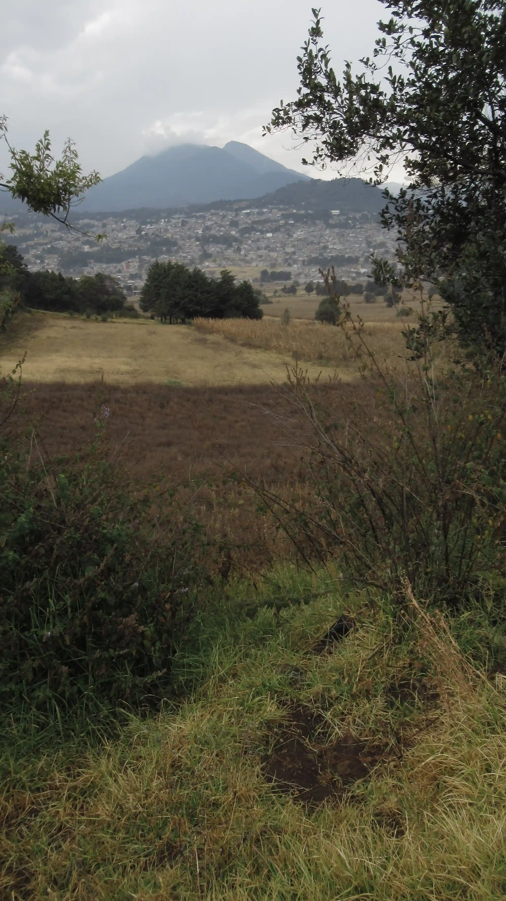IMG 7573