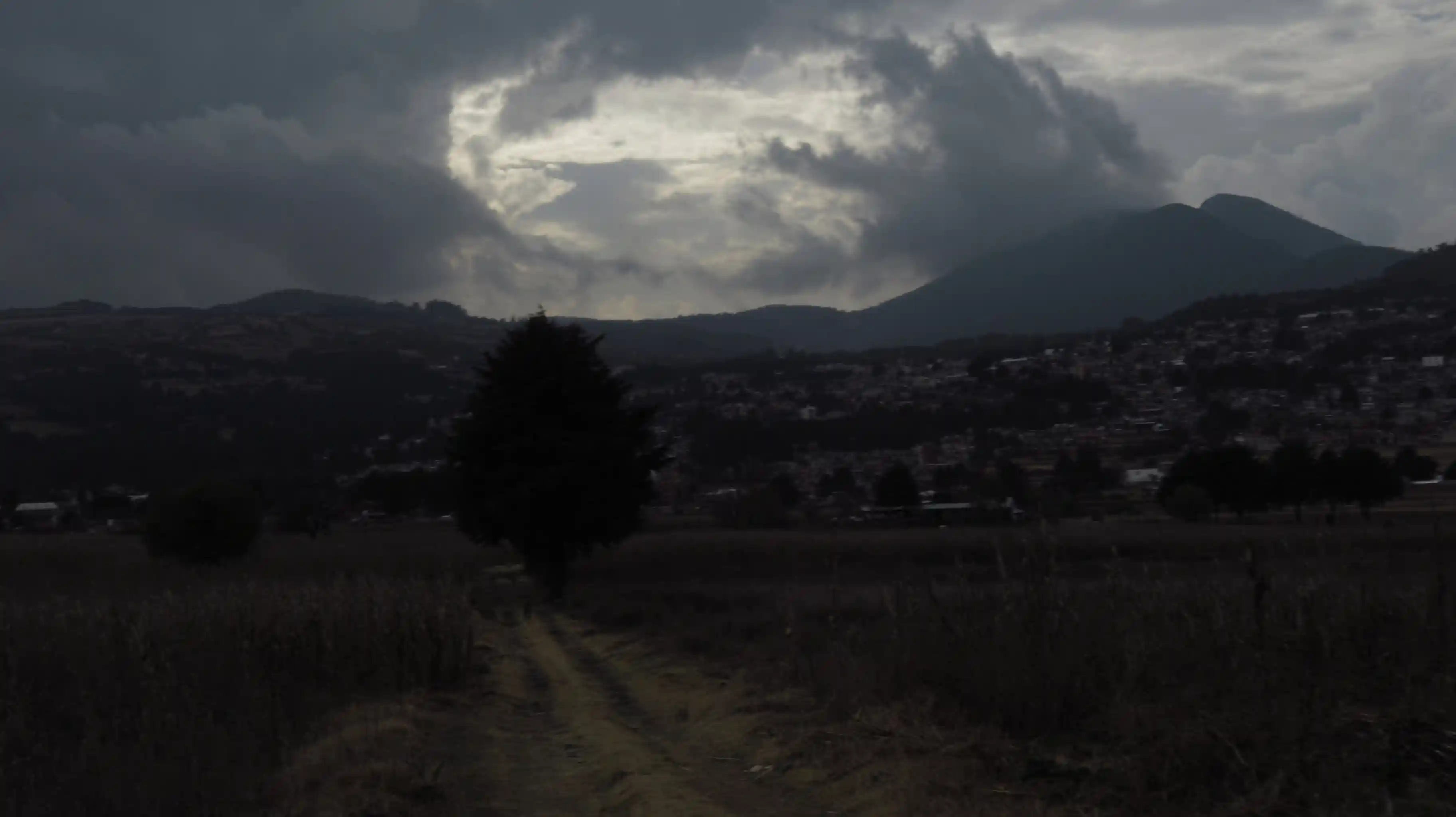 IMG 7647